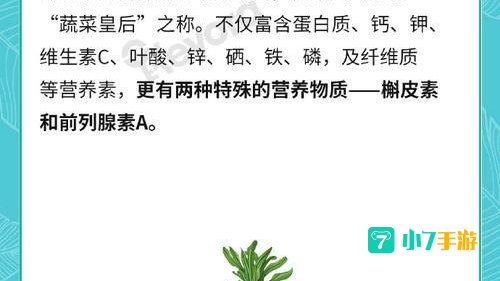 人们平时吃的洋葱是植物的哪部分