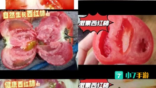 红番茄视频成年