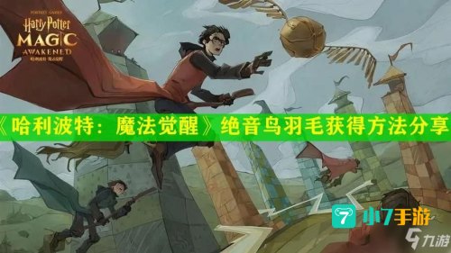 哈利波特绝音鸟羽毛怎么获得