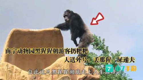 南宁动物园回应“丢那猩”走红